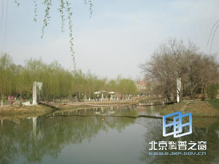 ������ϵ��֮���������㳡����ɽ��԰