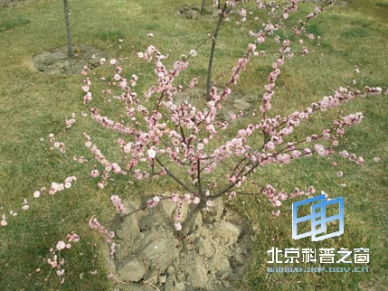 ������ϵ��֮���������㳡����ɽ��԰