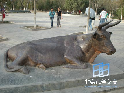 ������ϵ��֮���������㳡����ɽ��԰