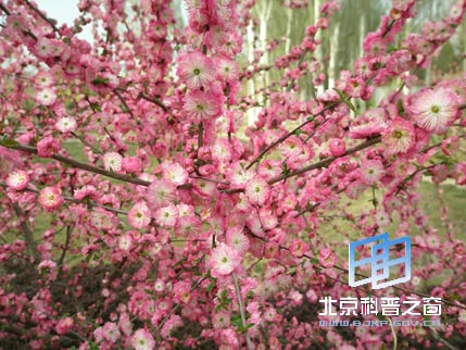 ������ϵ��֮���������㳡����ɽ��԰