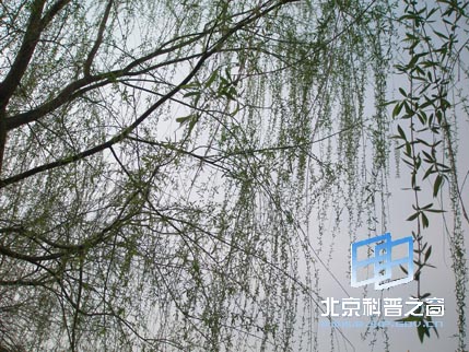 ������ϵ��֮���������㳡����ɽ��԰