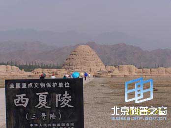 ������ϵ��֮������������