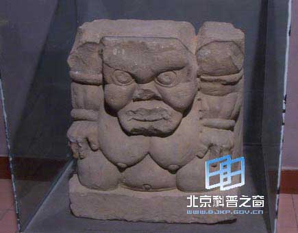 ������ϵ��֮������������