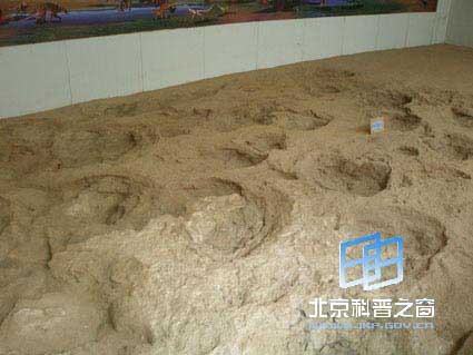 ���ɹŶ��пˡ��������㼣�Ĺ���