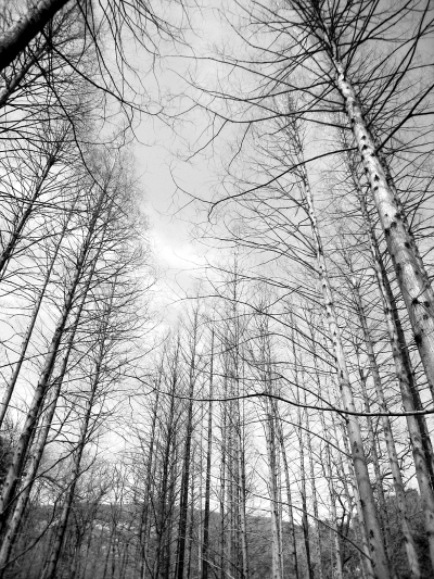 �Ҽҳ���Ҳ�Ƿ��ն����Ƽ�С������������Ƽ�����(ͼ)