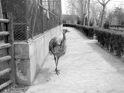 һ����С��ɽ��һ����ũҵ԰ (ͼ)