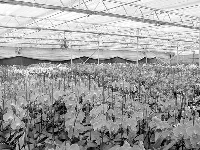 һ����С��ɽ��һ����ũҵ԰ (ͼ)