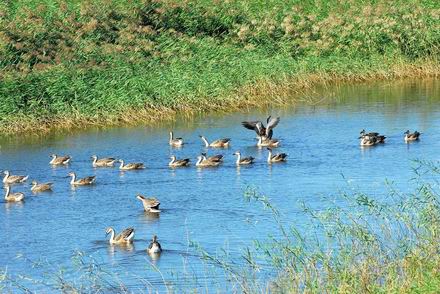 �򺣹��Ҽ���Ȼ������Ϊ�����¡����ѻ���