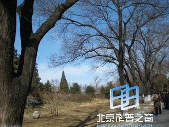 �����ı���