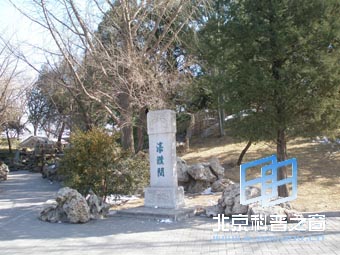 �����ı���