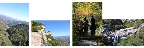 �ӱ���ƽ�����Ź��ҵ��ʹ�԰������