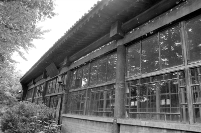 药用植物园:拙朴外表下的光芒 (图)