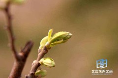 �������ͼ