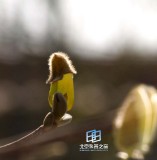 �������ͼ