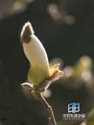 �������ͼ