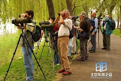 �������ͼ