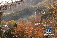 �������ͼ