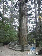 �������ͼ