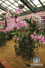 �������ͼ