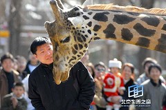 �������ͼ