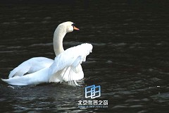 �������ͼ