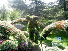 �������ͼ