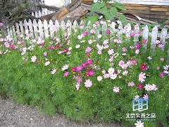 �������ͼ