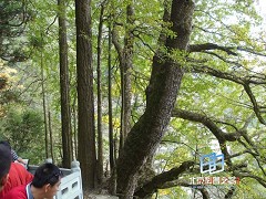 �������ͼ