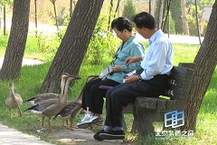 �������ͼ