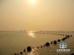 �������ͼ