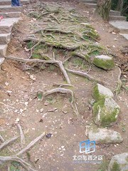 �������ͼ