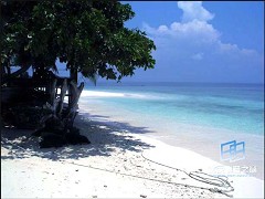 �������ͼ