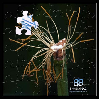 �ɣ������������񡪡�����