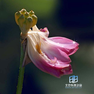 �ɣ������������񡪡�����