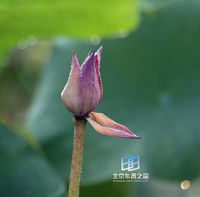 �ɣ������������񡪡�����