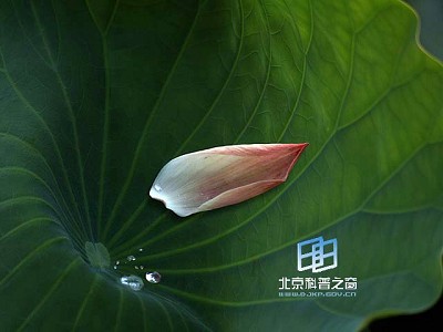 �ɣ������������񡪡�����