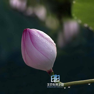 �ɣ������������񡪡�����