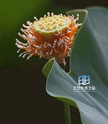 �ɣ������������񡪡�����