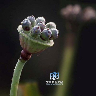 �ɣ������������񡪡�����