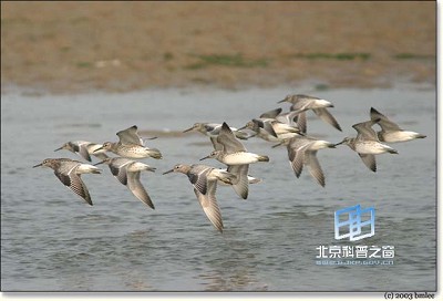 �������ͼ