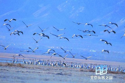 �������ͼ