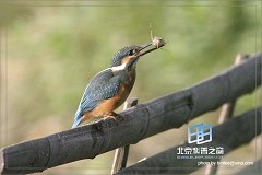 �������ͼ