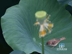 ���Ժ���