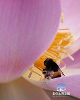 ���Ժ���