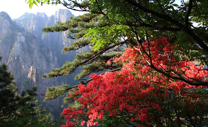 探寻最美峡谷 扑捉梦幻风情(图)