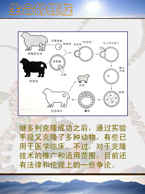 �������������ģ�