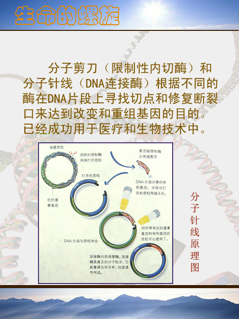 �������������ģ�