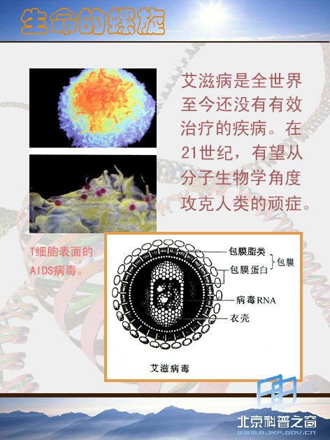 �������������壩