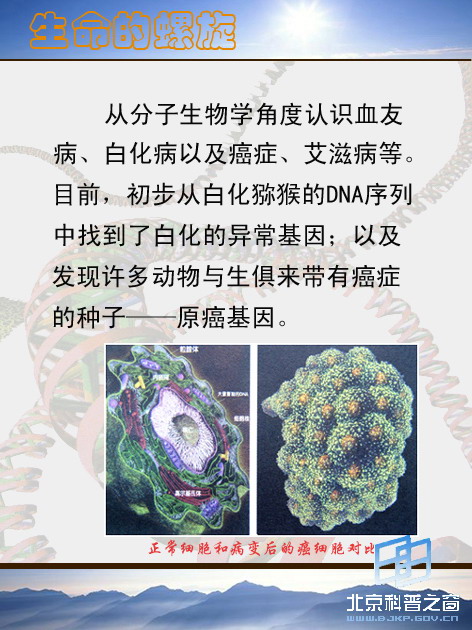 �������������壩