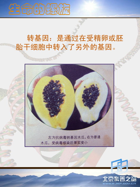 �������������壩